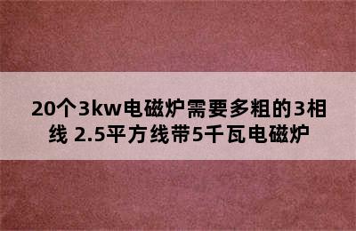 20个3kw电磁炉需要多粗的3相线 2.5平方线带5千瓦电磁炉